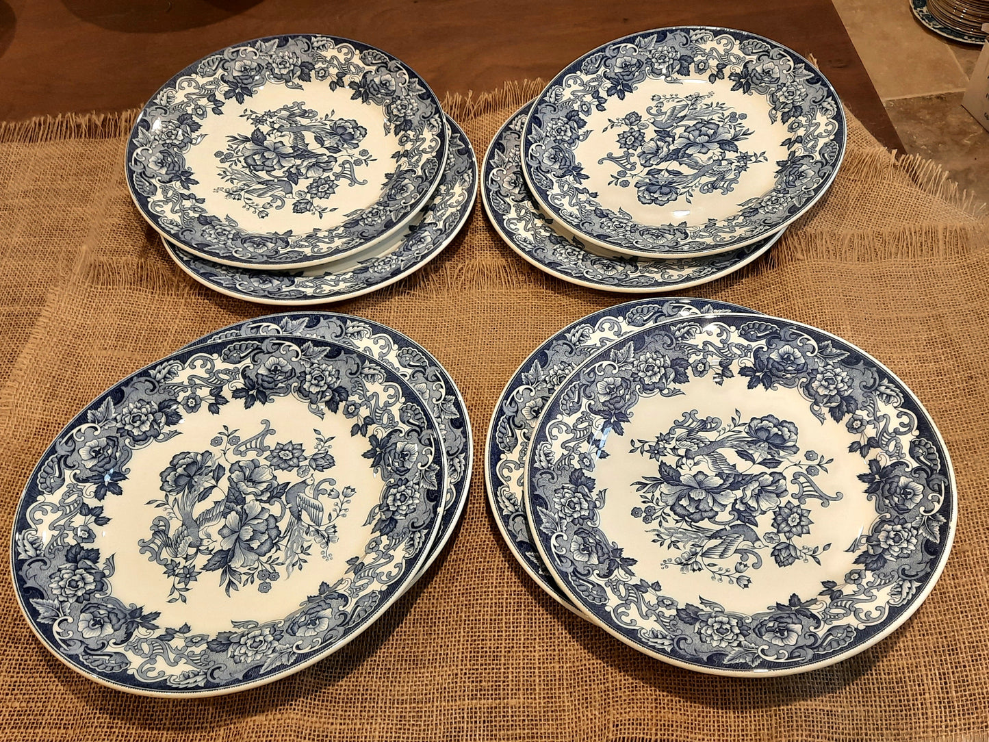 Lot de 8 assiettes plates légèrement ébréchées