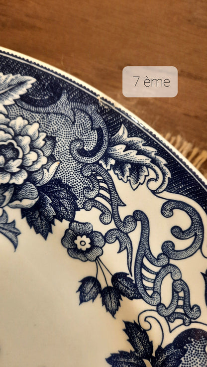 Lot de 8 assiettes plates légèrement ébréchées