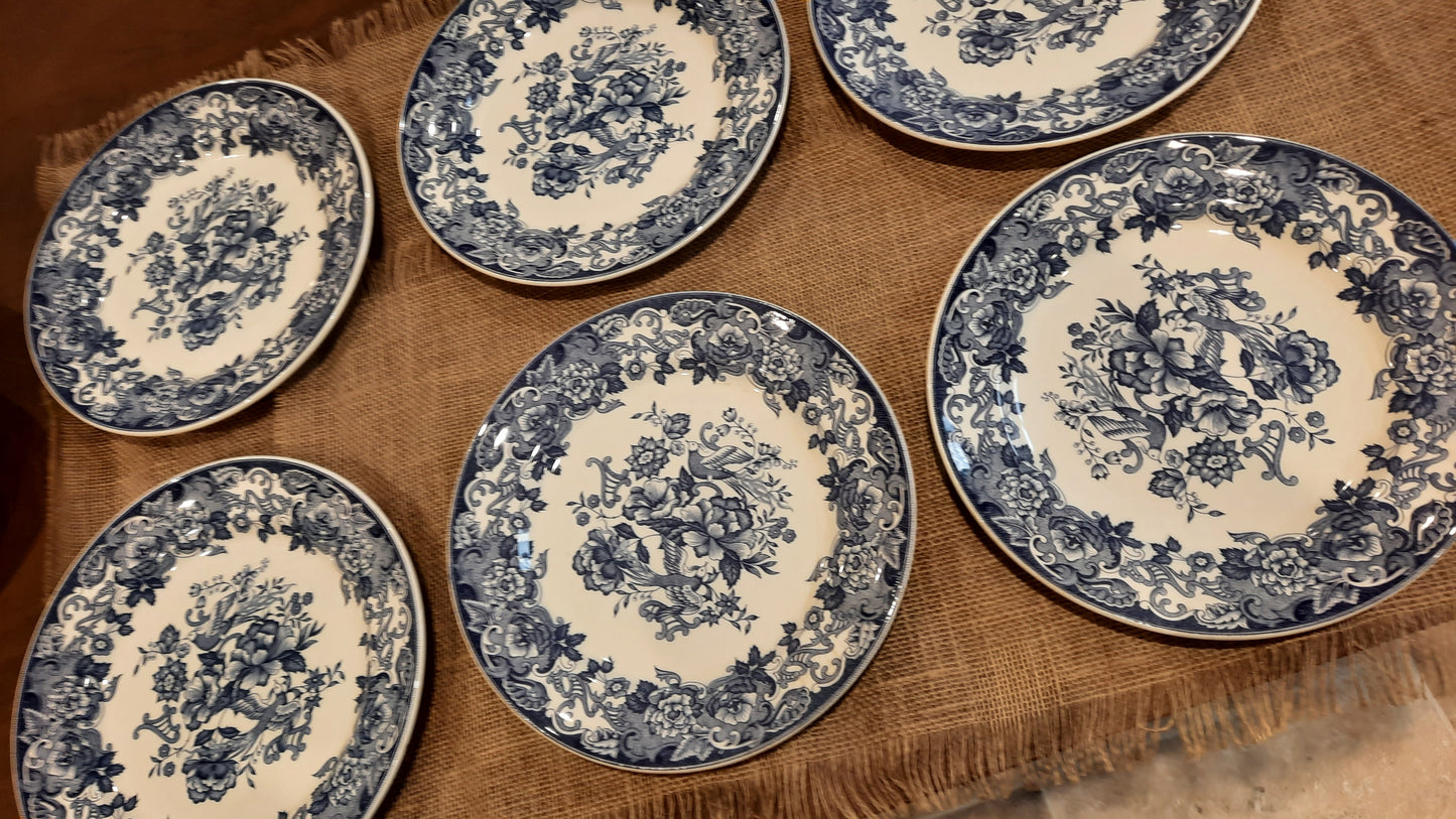 Lot de 6 assiettes plates