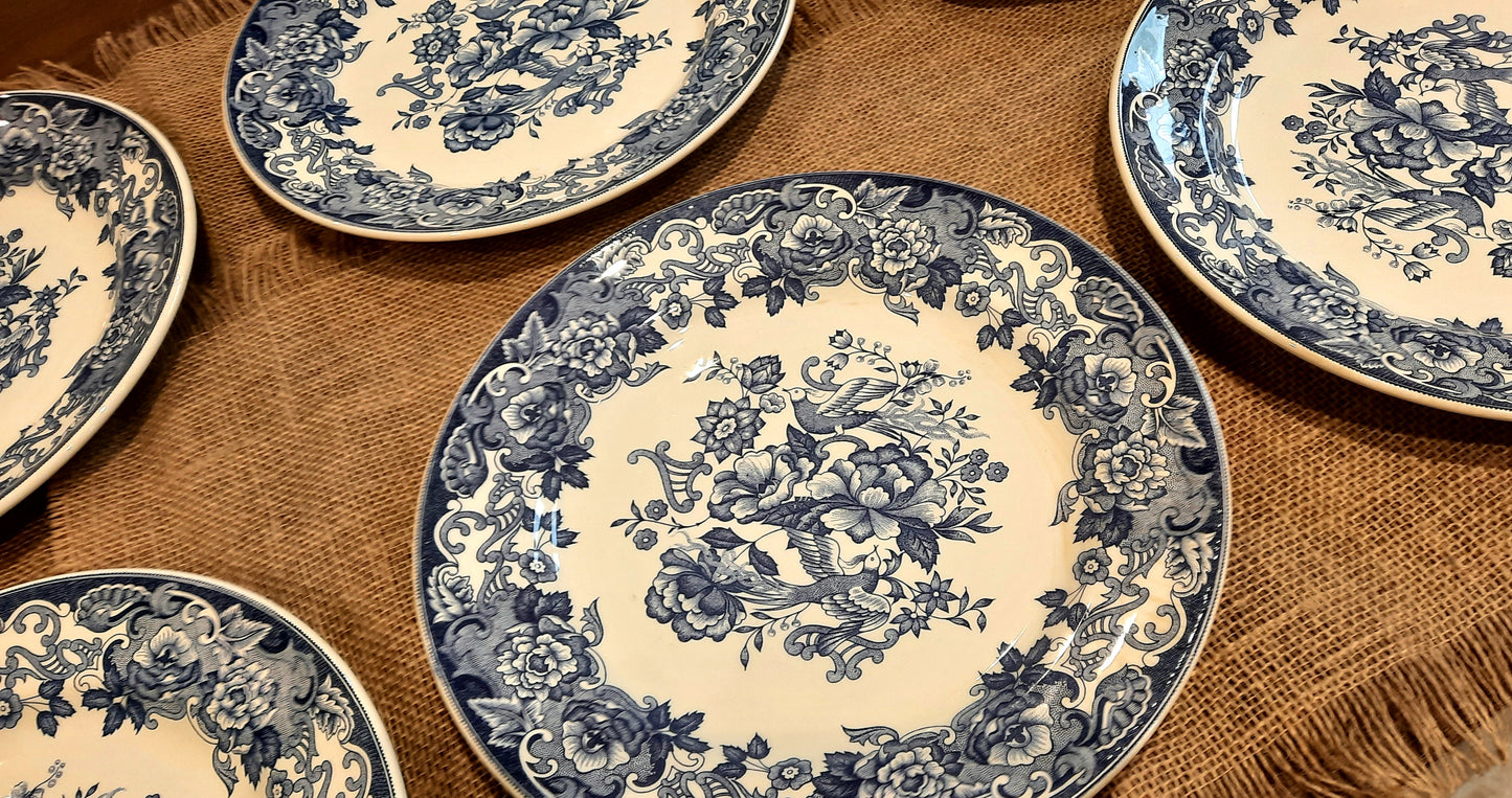 Lot de 6 assiettes plates