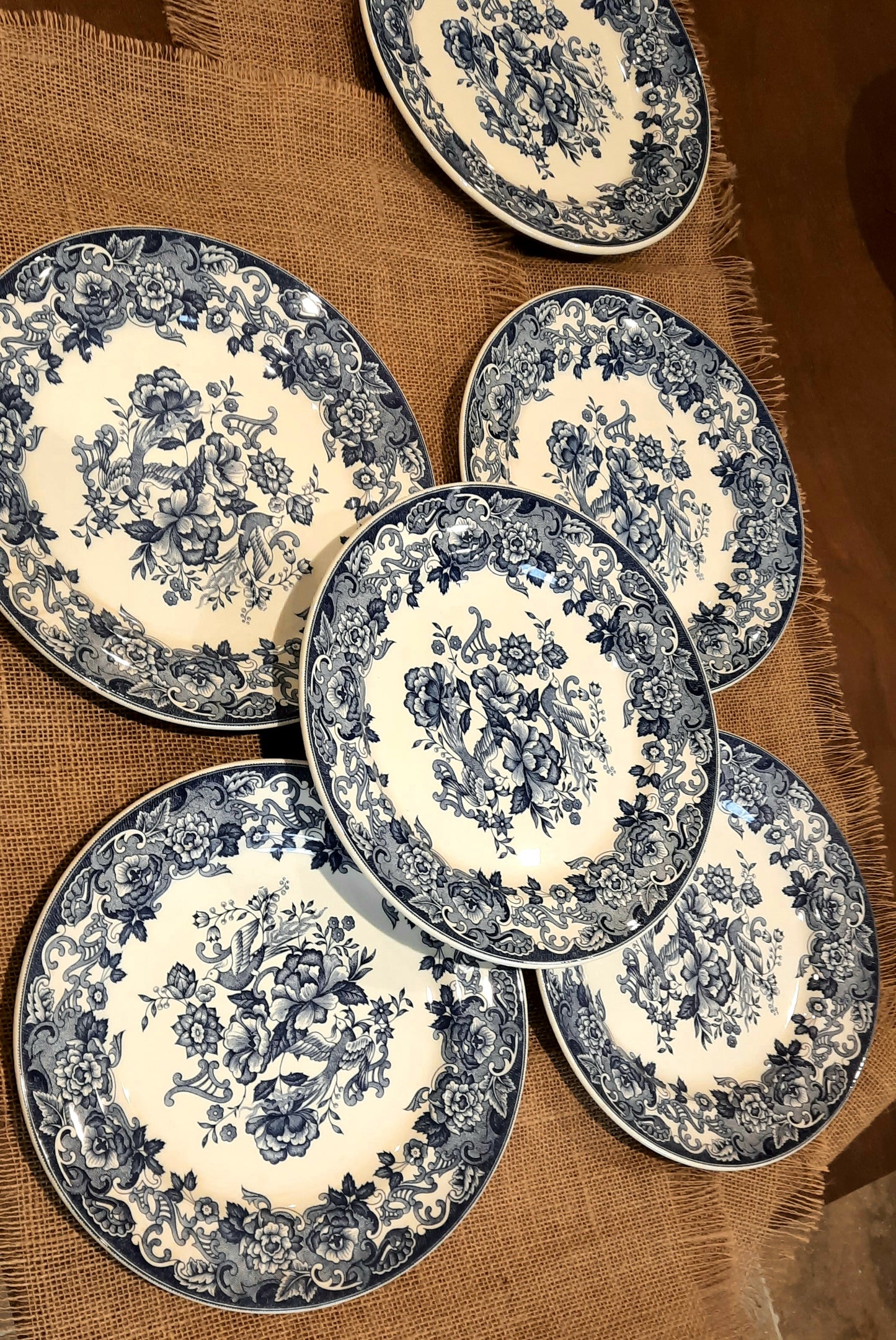 Lot de 6 assiettes plates