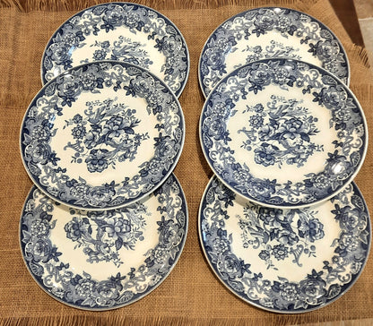 Lot de 6 assiettes plates